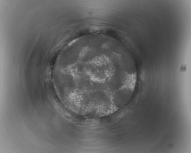 X0000113080914200909182045