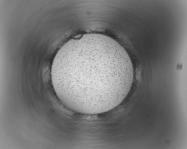 X0000113080915200909182045