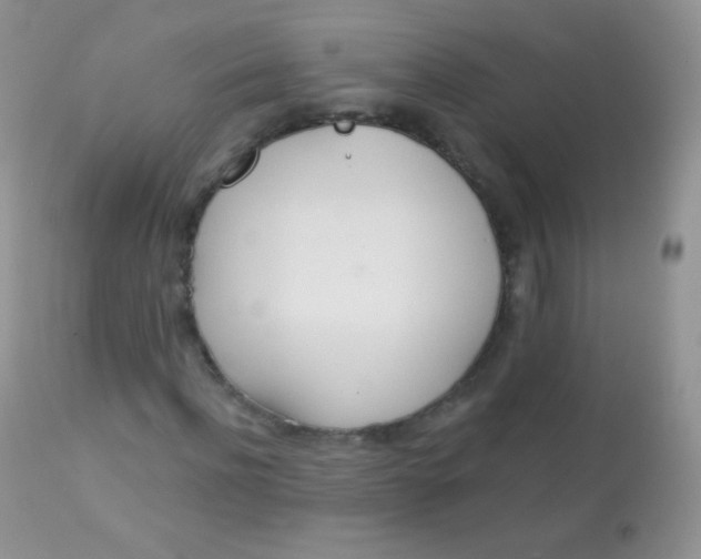 X0000113080916200909182045