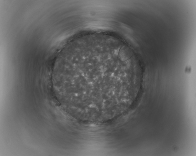 X0000113080917200909182045