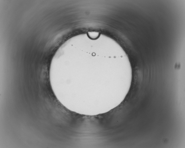 X0000113080918200909182045