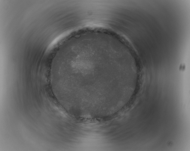 X0000113080919200909182045