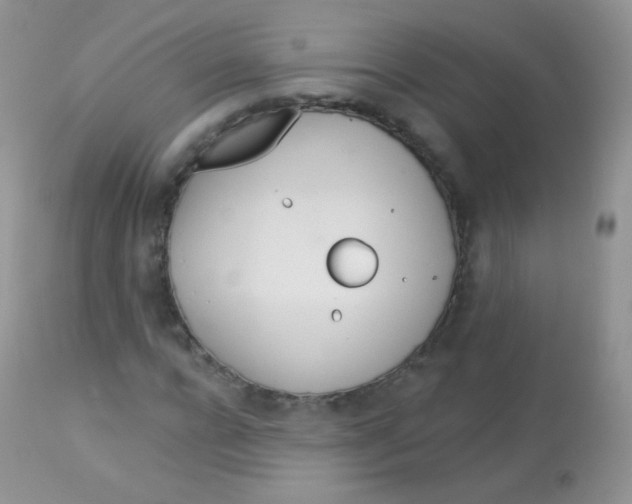 X0000113080920200909182045