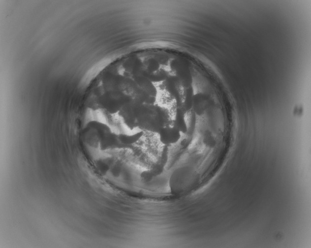 X0000113080921200909182045