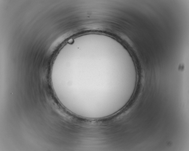 X0000113080922200909182045