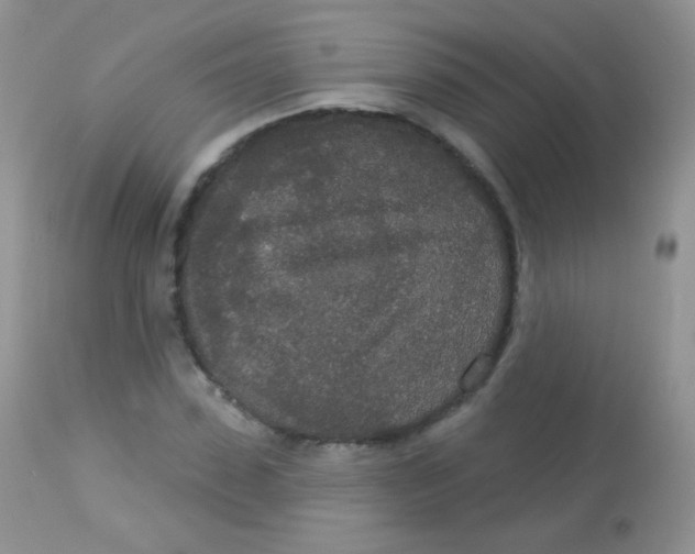 X0000113080923200909182045