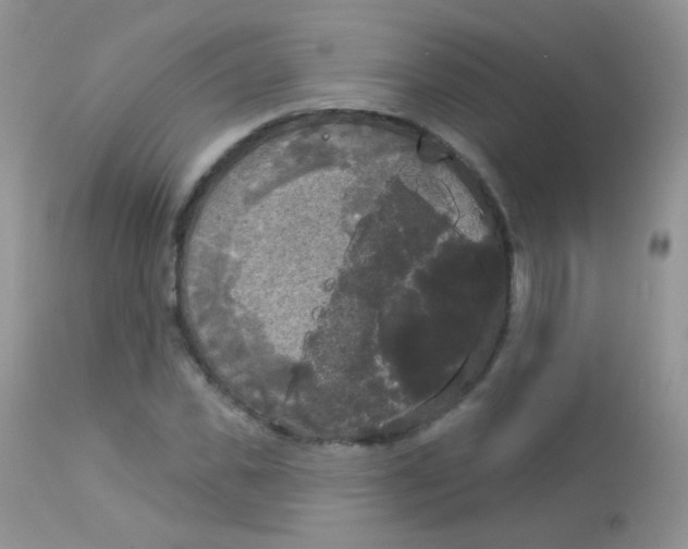 X0000113080925200909182045