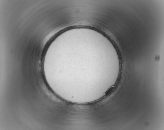 X0000113080928200909182046