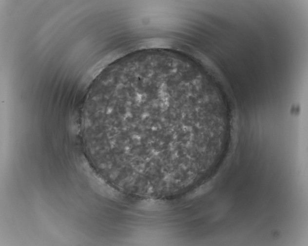 X0000113080929200909182046