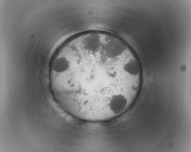 X0000113080931200909182046