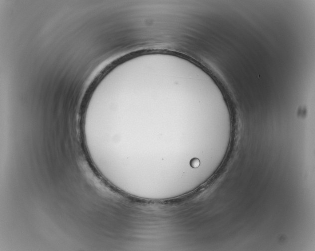 X0000113080932200909182046