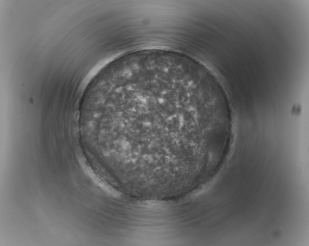 X0000113080933200909182046