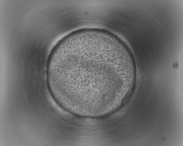 X0000113080935200909182046