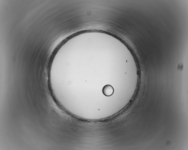 X0000113080936200909182046