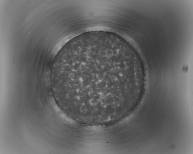 X0000113080937200909182046