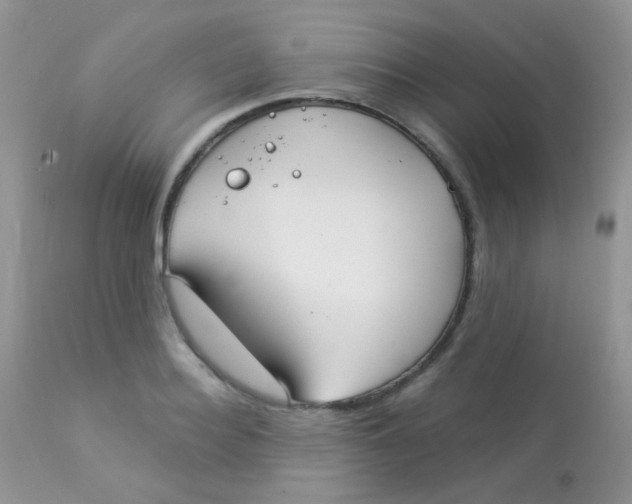 X0000113080940200909182046