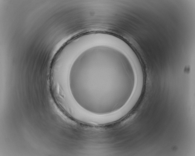 X0000113080941200909182046