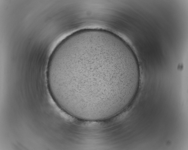 X0000113080943200909182046