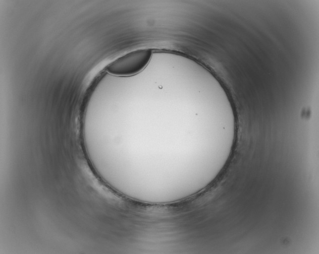 X0000113080944200909182046