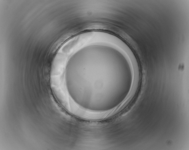 X0000113080945200909182046