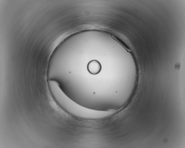 X0000113080946200909182046