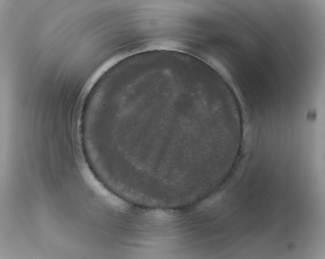 X0000113080947200909182046