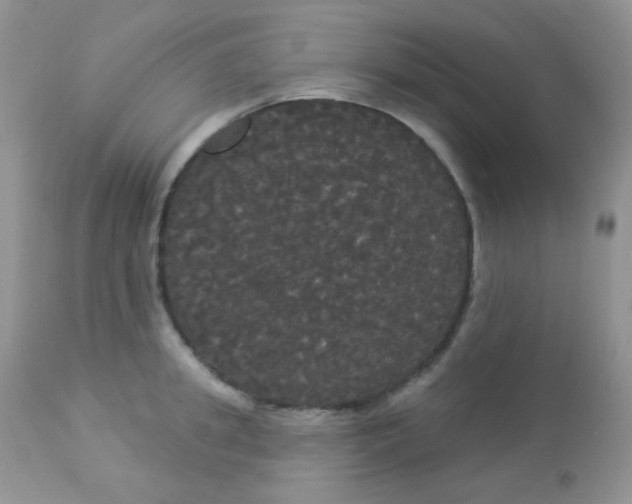 X0000113080949200909182046