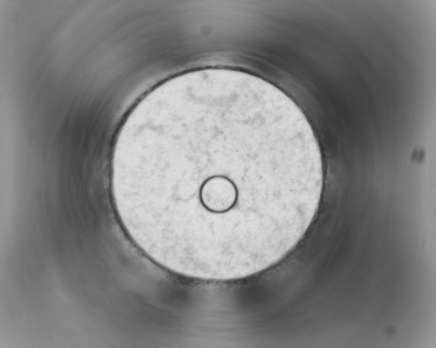 X0000113080950200909182046