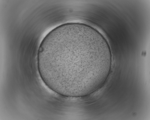 X0000113080951200909182046