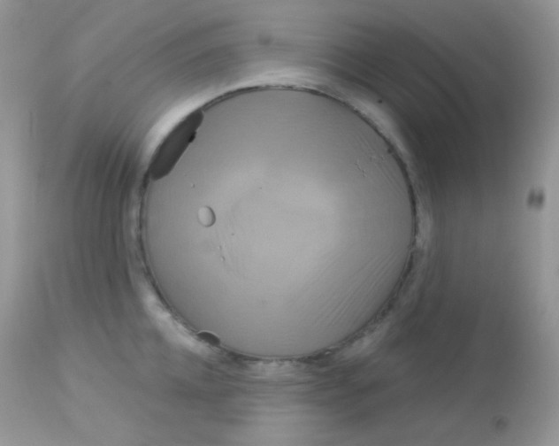 X0000113080952200909182046