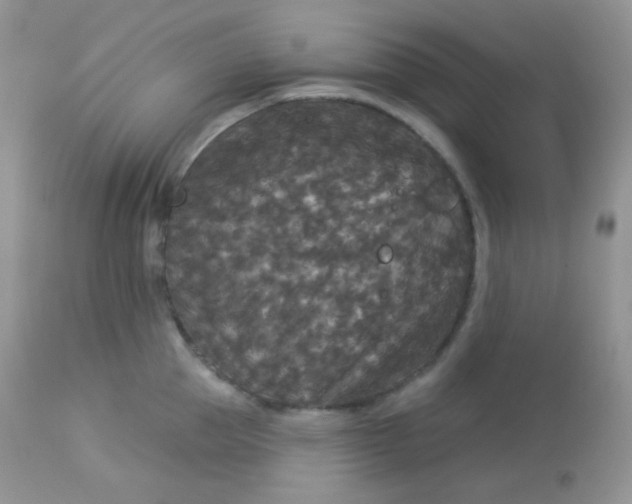 X0000113080953200909182046