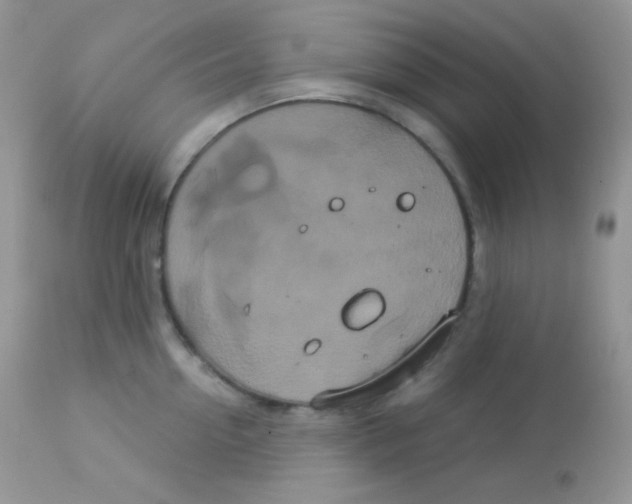 X0000113080954200909182046