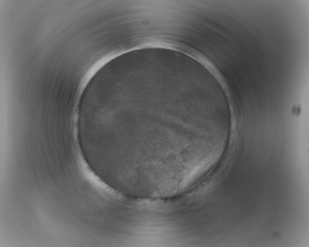 X0000113080955200909182046