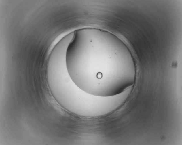 X0000113080956200909182046