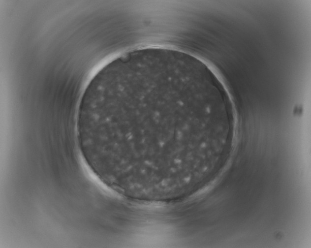 X0000113080957200909182046