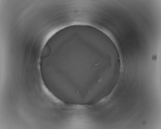 X0000113080958200909182046