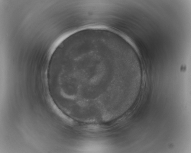 X0000113080959200909182046