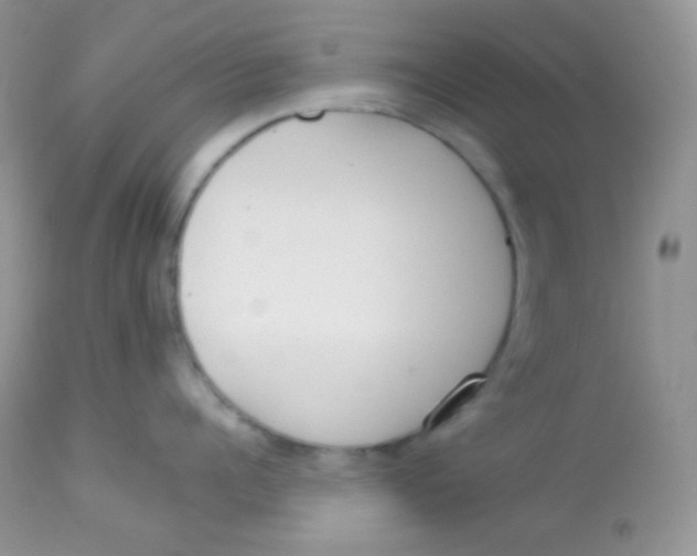 X0000113080960200909182046