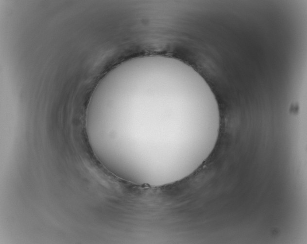 X0000113080961200909182045