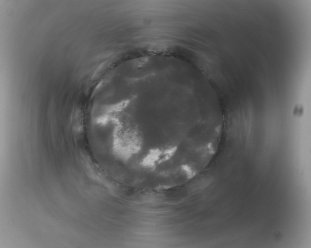 X0000113080962200909182045