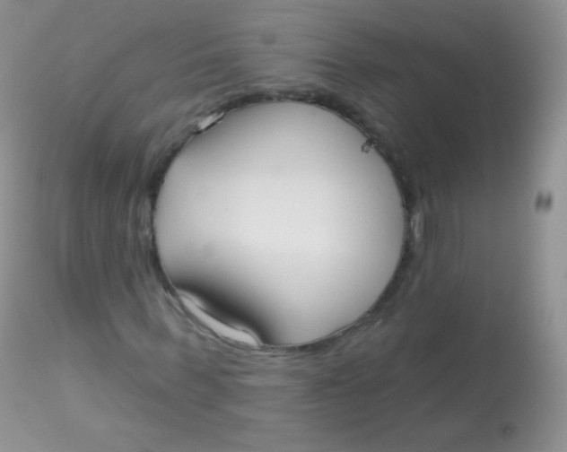 X0000113080963200909182045