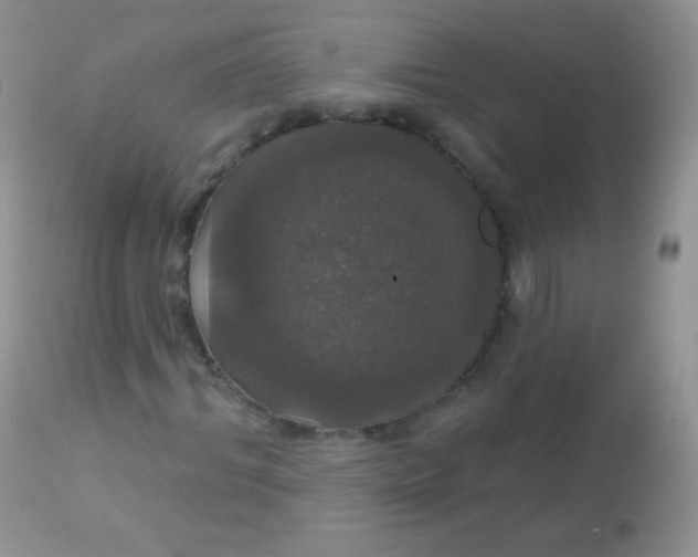 X0000113080964200909182045