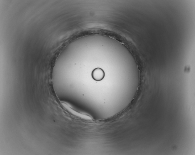 X0000113080965200909182045