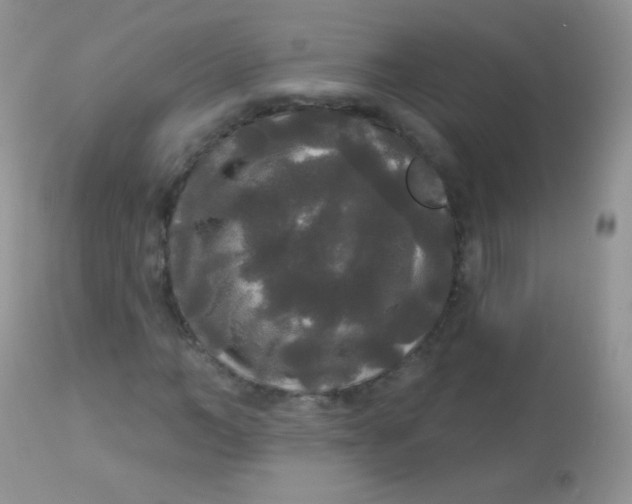 X0000113080966200909182045