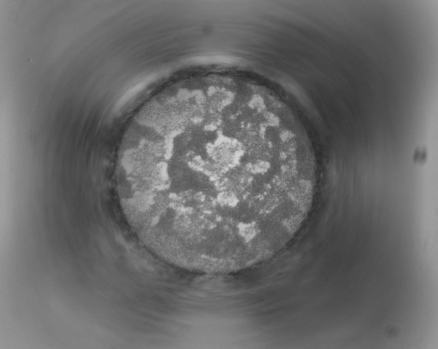 X0000113080967200909182045