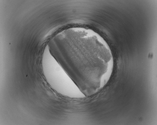 X0000113080968200909182045