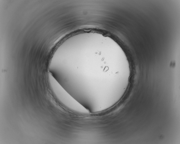 X0000113080969200909182045