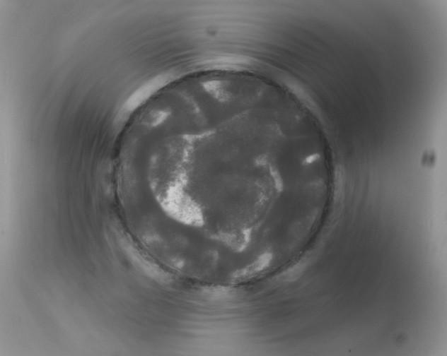 X0000113080970200909182045