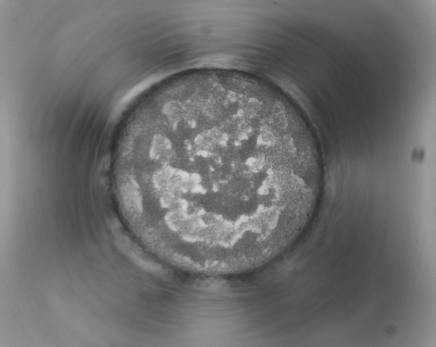 X0000113080971200909182045