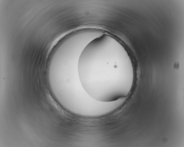 X0000113080972200909182045